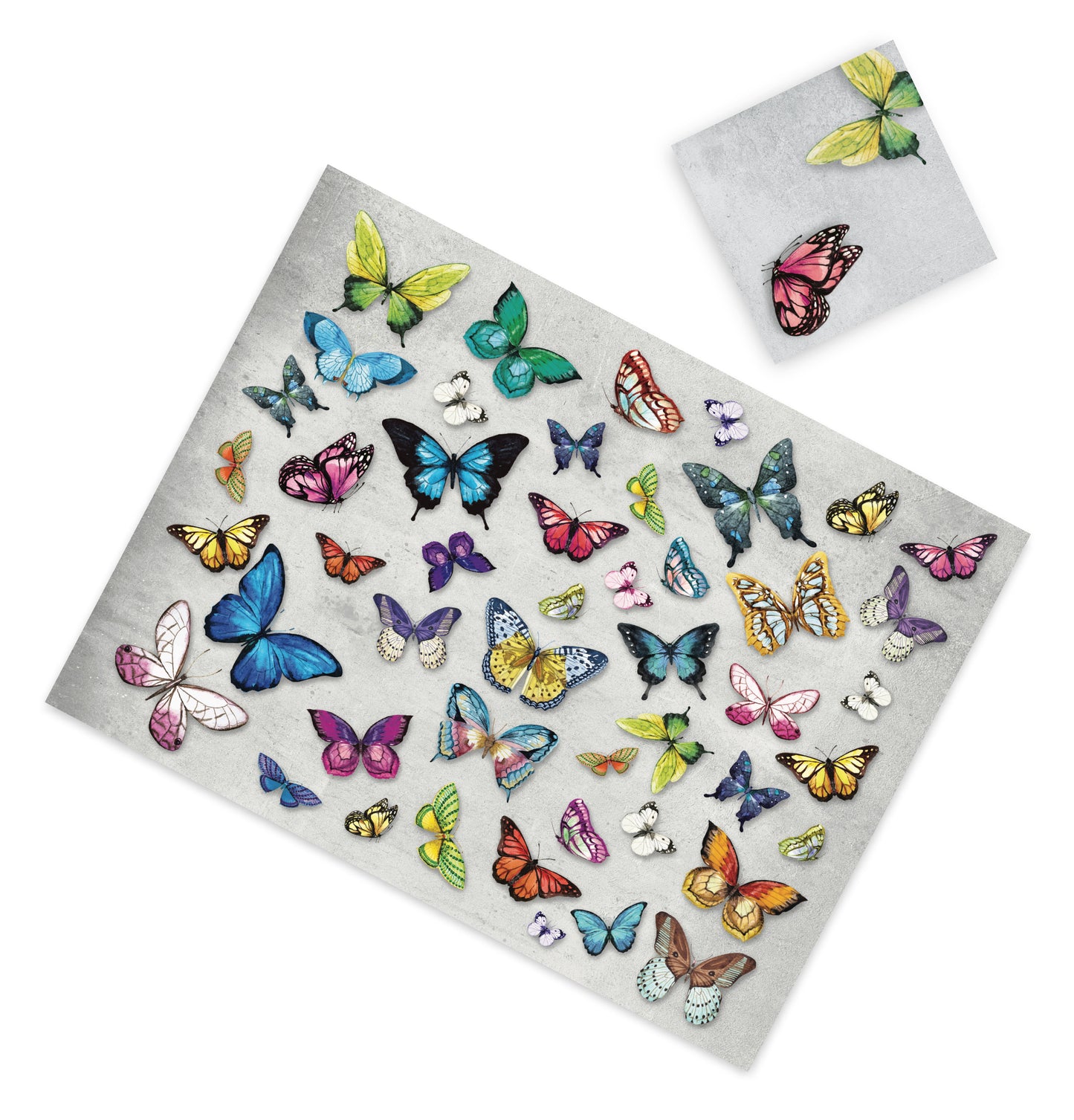 COLORFUL BUTTERFLIES PAPER PLACEMAT