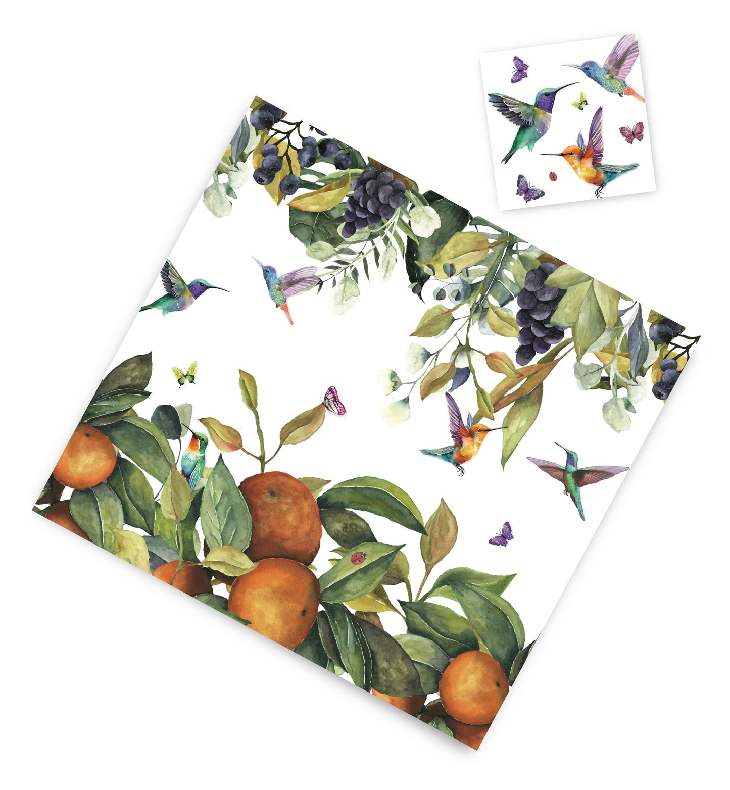 HUMMINGBIRDS PAPER PLACEMAT