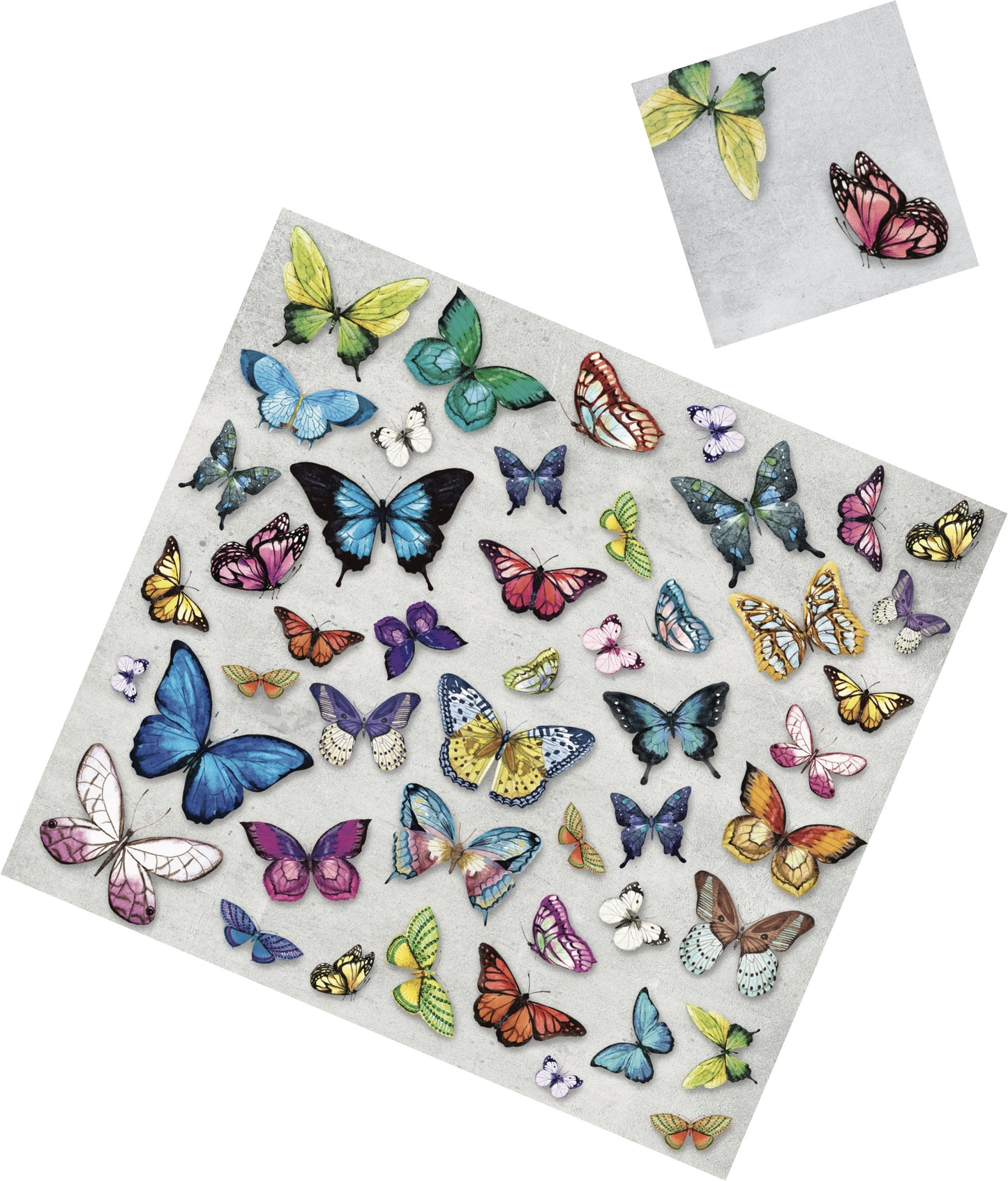 COLORFUL BUTTERFLIES PAPER PLACEMAT